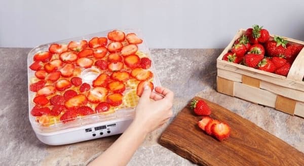 Fruit and berry dryer G21 Paradiso Cube white 6008122