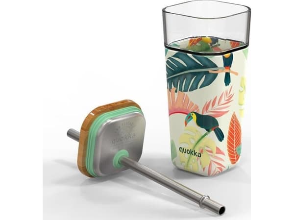 Quokka Liquid Cube - 540 ml glasskrus med sugerør i rustfritt stål (tukaner)