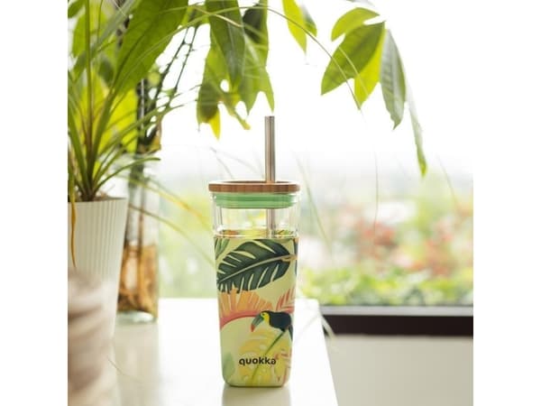 Quokka Liquid Cube - 540 ml glasskrus med sugerør i rustfritt stål (tukaner)