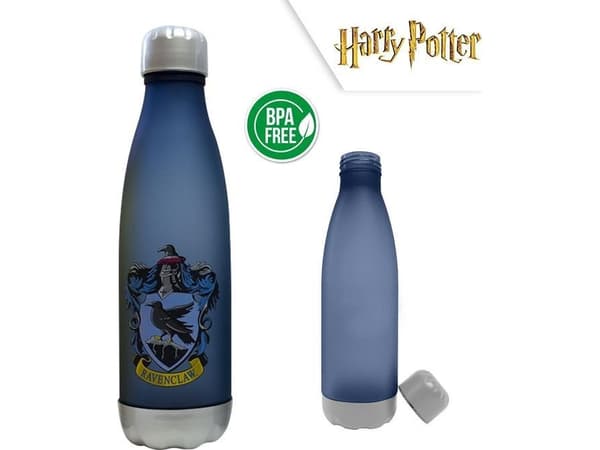 Kids Euroswan WATER BOTTLE HARRY POTTER PP 650ML HPRJV633