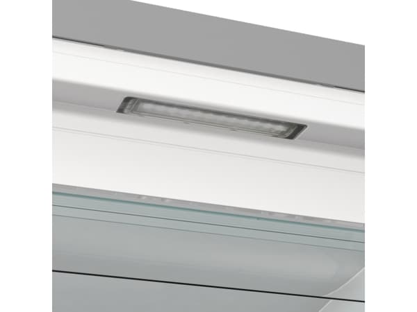Gorenje Advanced FN619EAXL6 - Frys - upprätt - bredd: 59.5 cm - djup: 66.3 cm - höjd: 185 cm - 280 liter - Klass E - rostfritt stål/gråmetallic
