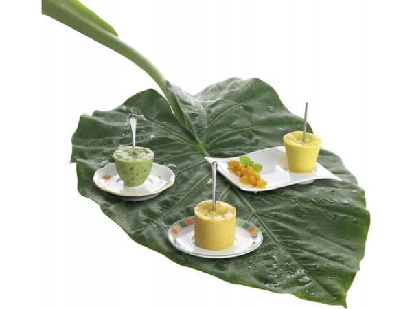 Villeroy &amp; Boch NewWave Caffe -lautanen, 20 x 14 cm
