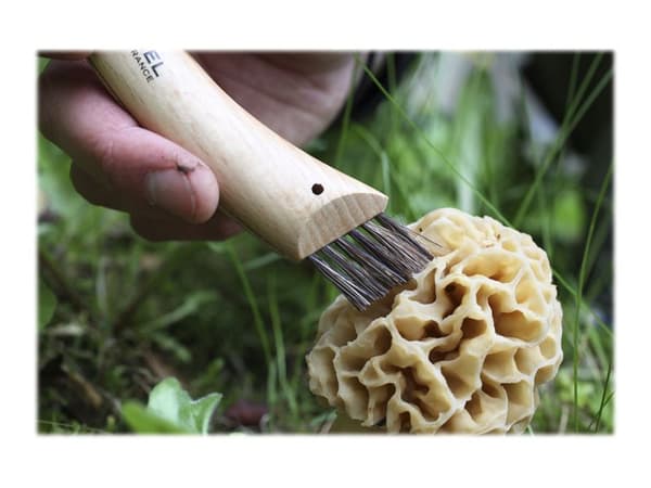 Opinel Multifunction N°08 - Mushroom knife - 8 cm - yellow to pink with small dark dashes