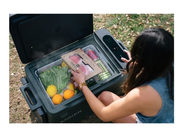Anker EverFrost Powered Cooler 30 - Bærbar kjøler - utendørs - bredde: 74.2 cm - dybde: 46.4 cm - høyde: 48.9 cm - 33 liter - Klasse F