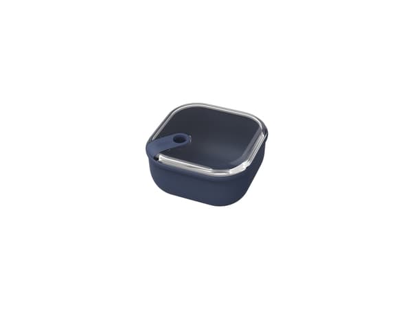 Rotho 1057206250WS, Beholder, firkant, 1 l, Blå, Plast, 160 mm