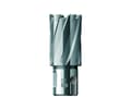 Miniatyrbilde 1 av 2: Kernebor HM 54x30 mm weldon/nitto