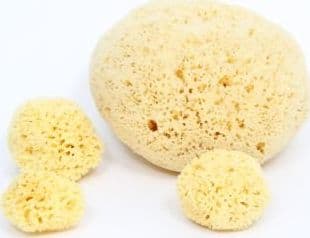 Bellini Babu® natūrali kempinė nr.10