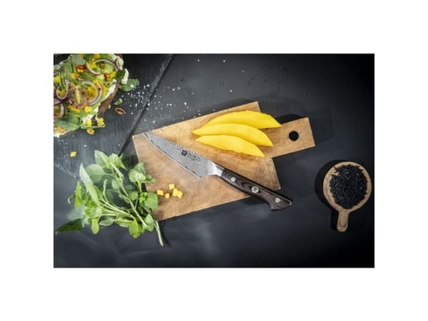 ZWILLING 30570-101-0, Fruktkniv, 10 cm, Stål, 1 stykker