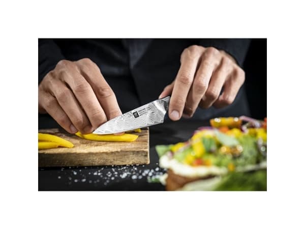 ZWILLING 30570-101-0, Fruktkniv, 10 cm, Stål, 1 stykker