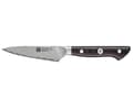Miniatyrbilde 2 av 5: ZWILLING 30570-101-0, Fruktkniv, 10 cm, Stål, 1 stykker