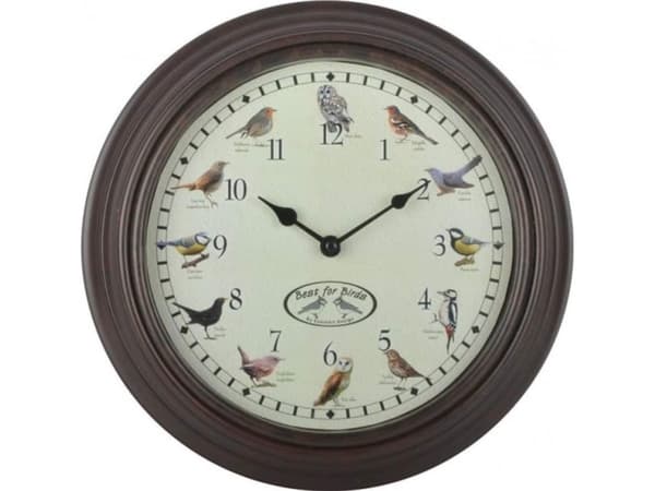 Esschert Design FB416, vägg, rund, brun, polystyren, 301 mm, 45 mm