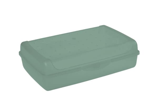 Partikas uzglabasanas trauks click-box maxi 3 7L Luca 30x20x8 5cm zals 4052396081398