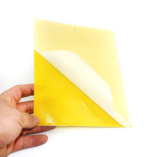 Klebrig fluepapir, 20-pakning Gul 20x10 cm