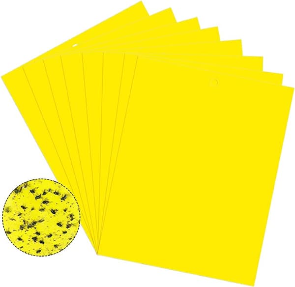 Klebrig fluepapir, 20-pakning Gul 20x10 cm