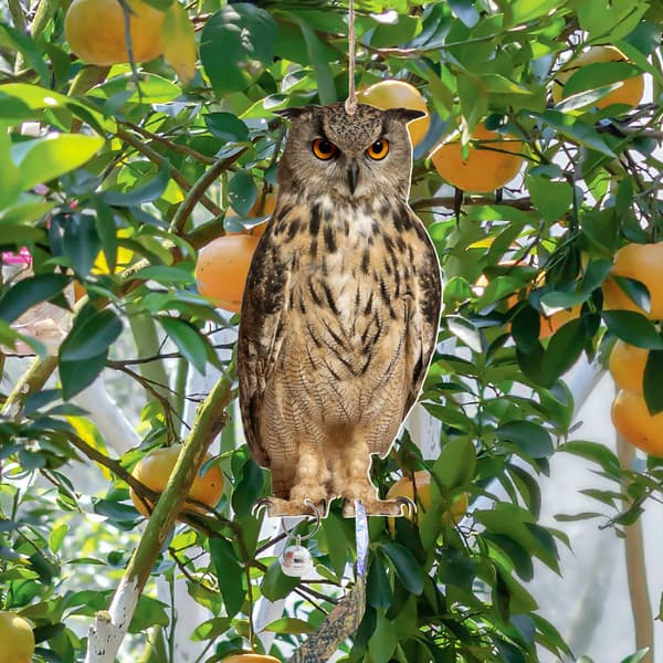 Owl Bird Repellent Bell hänge