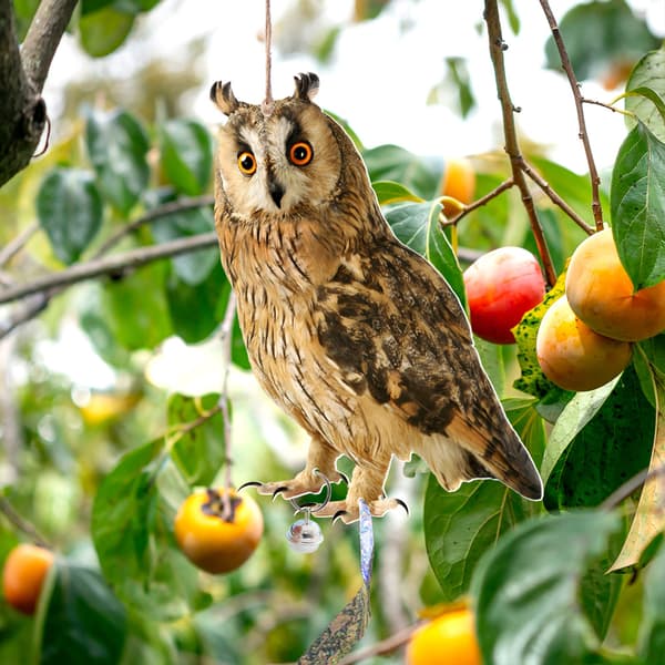 INF Owl Bird Repellent Bell hänge