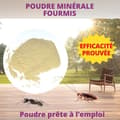 Miniatyrbild 3 av 6: GENERIK - Chabasitepulver myror 400G - ACTO