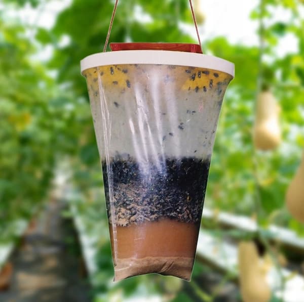 XXL FLUEFÆLDE MED INSEKTTILTRÆKNING TIL HESTEFLUER TIL STALDE OG KOHUNDE
