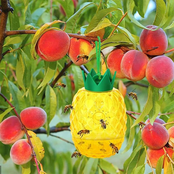 NoBzzz FÆLDE TIL HVEPSEFLUER 2 STK. GENBRUGELIG EFFEKTIV ANANAS