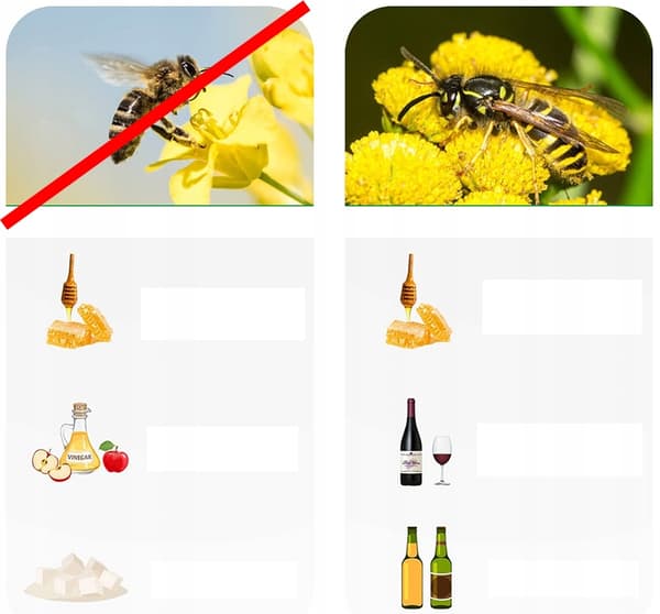 NoBzzz FÆLDE TIL HVEPSEFLUER 2 STK. GENBRUGELIG EFFEKTIV ANANAS