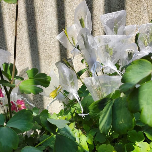 INF Små presentpåsar med dragsko Organza 25-pack 7x9 cm Grå