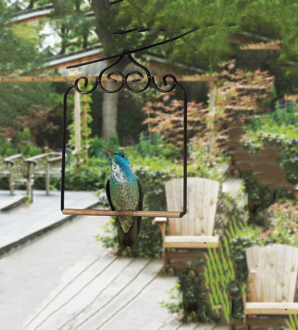 INF Premium Hummingbird Gynge