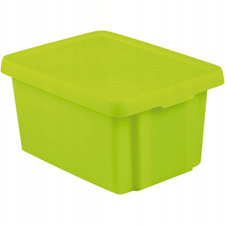 CURVER - ESSENTIALS CONTAINER MED LOCK 45 L