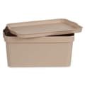 Pikkukuva 3 / 3: Säilytyslaatikko kannella Kipit TP594-3 Beige Muovinen 7,5 L 21,5 x 14,5 x 32 cm (12 osaa)