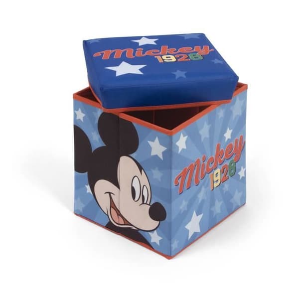 DISNEY - MICKEY MOUSE - 2 i 1 pall och förvaringskub