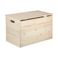 Miniatyrbilde 1 av 4: Kiste Astigarraga Dinamic Furutre (80 x 40 x 50 cm)
