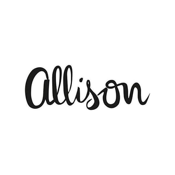 HAN 1120-80 SMART-BOX ALLISON Stapelbar förvaringslåda med 2 lådor limegrön