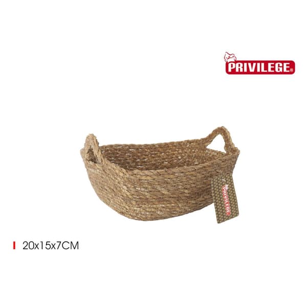 Säilytyslaatikko kannella Privilege korihuonekalut 20 x 15 x 7 cm (18 osaa)