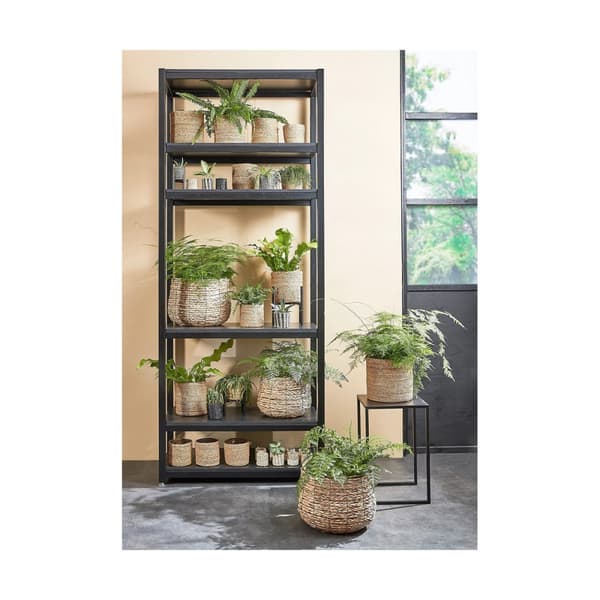 Set med kurve Mica Decorations 3 Dele Brun flet