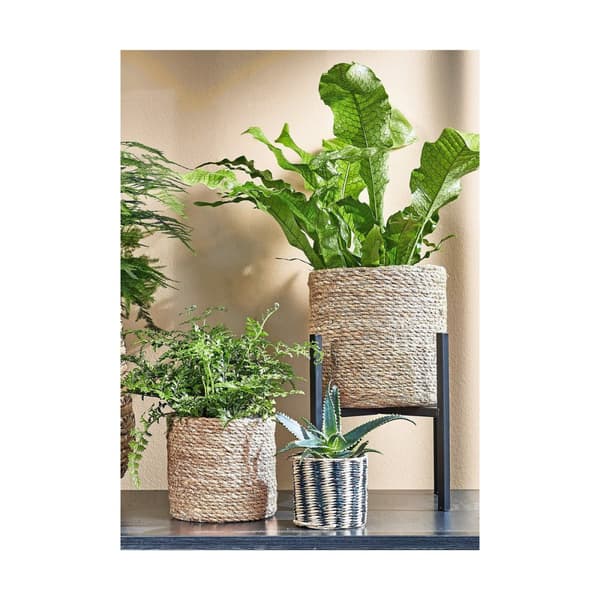 Set med kurve Mica Decorations 3 Dele Brun flet