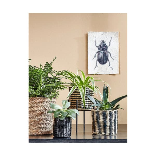 Set med kurve Mica Decorations 3 Dele Brun flet