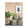 Miniatyrbillede 8 af 10: Set med kurve Mica Decorations 3 Dele Brun flet