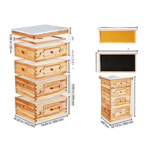 Bikupa Startpaket, 100% bivaxbelagd ceder, transparent akryldesign,2ZH12