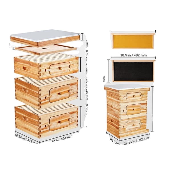 Bikupa Startpaket, 100% bivaxbelagd ceder, transparent akryldesign,2ZH12