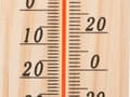Miniatyrbild 3 av 9: Termometer