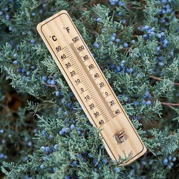 Väggtermometer - Ej specificerad - Förpackning om 5 - Hållbart trä - Temperaturspann -40°C till 50°C - Mått 21,5 cm x 4,8 cm