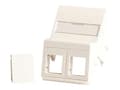 Miniatyrbild 2 av 4: Lanview - Wall plate - for 50 x 75 mm Clickline outlet - with labeling window - RJ 45 - vinklad - 2 modules - vit