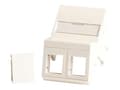 Miniatyrbild 1 av 4: Lanview - Wall plate - for 50 x 75 mm Clickline outlet - with labeling window - RJ 45 - vinklad - 2 modules - vit