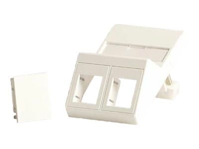 Lanview - Veggplate - fits 50x75 mm LK FUGA outlet - med etiketteringsvindu - RJ 45 - vinklet - 2 moduler - hvit