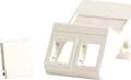 Miniatyrbilde 5 av 5: Lanview - Veggplate - fits 50x75 mm LK FUGA outlet - med etiketteringsvindu - RJ 45 - vinklet - 2 moduler - hvit