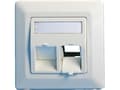 Miniatyrbild 3 av 3: Lanview - Wall plate - with labeling window - RJ 45 - vinklad - 2 modules - vit