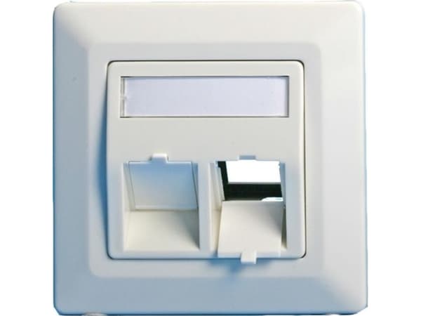 Lanview - Wall plate - with labeling window - RJ 45 - vinklad - 2 modules - vit