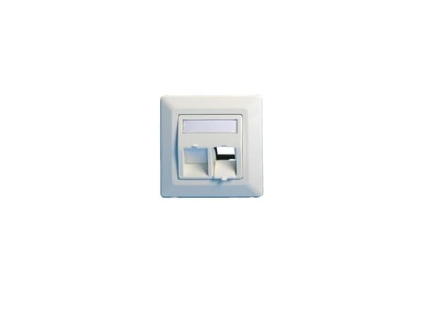 Lanview - Wall plate - with labeling window - RJ 45 - vinklad - 2 modules - vit