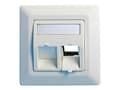 Miniatyrbild 1 av 3: Lanview - Wall plate - with labeling window - RJ 45 - vinklad - 2 modules - vit