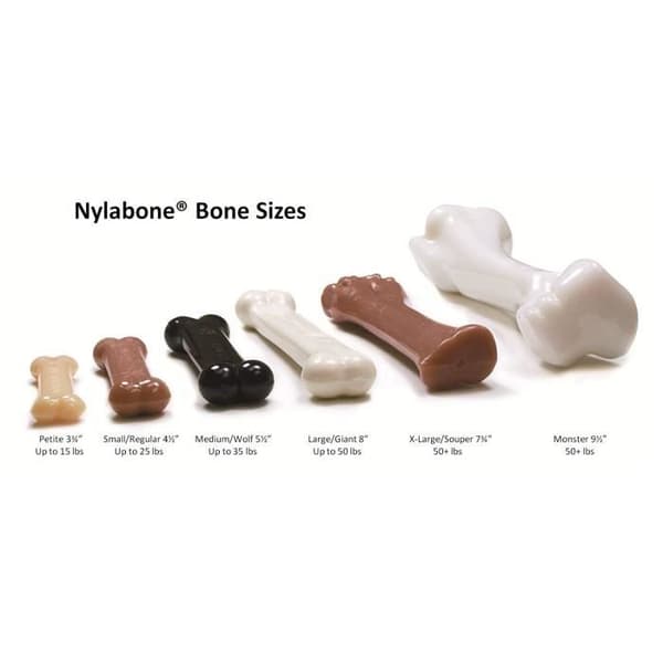 Tuggleksak - Nylabone - Set med 2 - Smaker av nötkött/kyckling - För mindre aggressiva hundar - Mjuka material