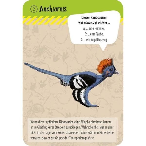 moses 40212 - KVM SWITCH - . Expedition Natur-50 Dinosaur matchande kort med testfrågor, flerfärgad